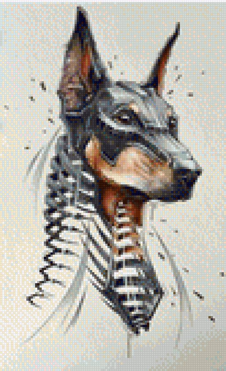 Доберман - собака, доберман - предпросмотр