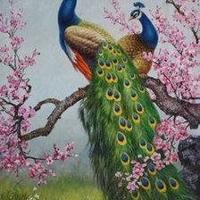 Схема вышивки «Peacocks»