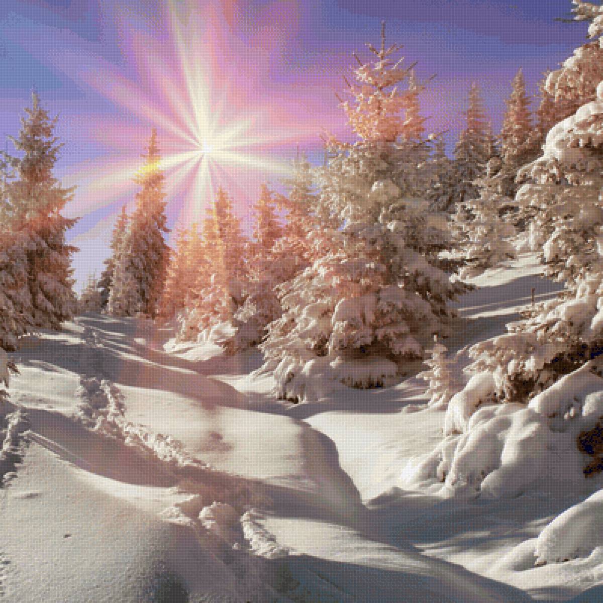 Солнечный лес - зима, природа, лес, солнце, деревья, снег - предпросмотр
