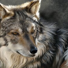 Оригинал схемы вышивки «волк» (№2295319)