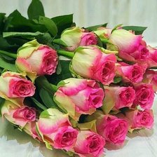 Схема вышивки «Розы»