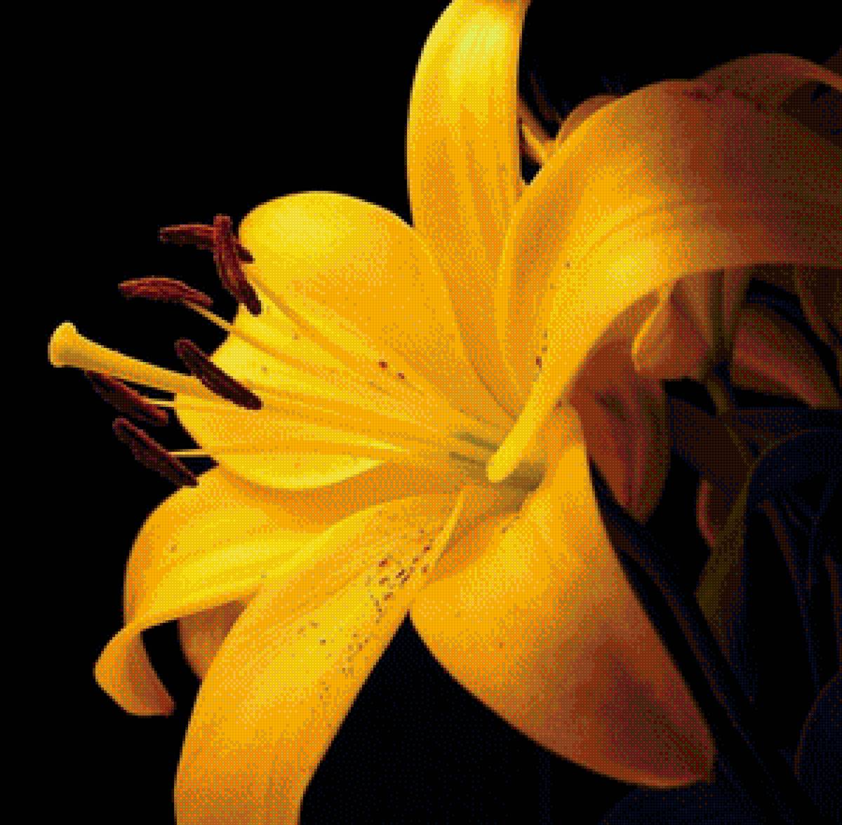 букет - букет - предпросмотр