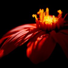 Схема вышивки «цветок»