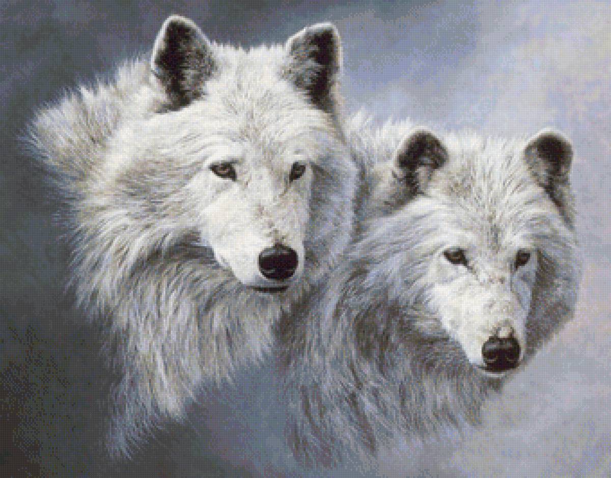 волки - волки, животные, зима - предпросмотр