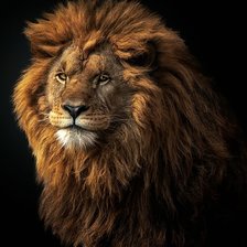 Схема вышивки «лев»