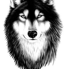 Схема вышивки «друг»