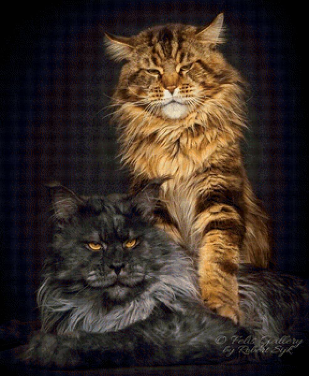 друзья - животные, портрет, кот - предпросмотр