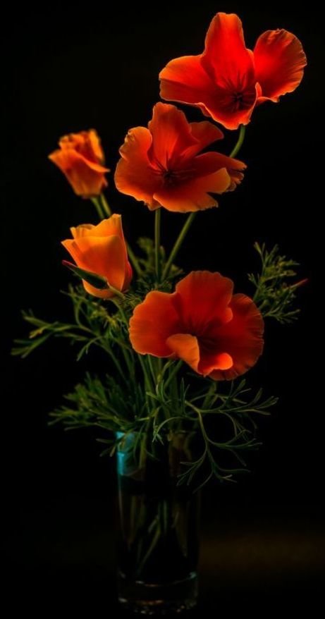 букет - букет - оригинал