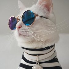 Схема вышивки «катэ»