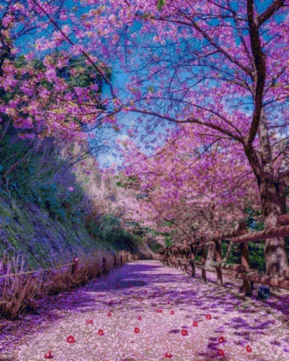 cerezos - naturaleza - предпросмотр