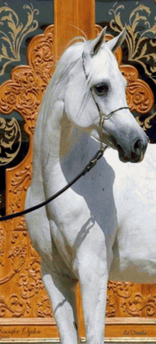 Cavalo .Árabe. - animais. - предпросмотр