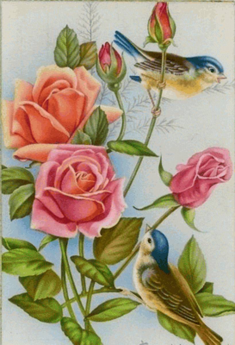 Картины птички с цветами. Иллюстрации цветы и птицы. Живопись птицы с розами. Красивые Рисованные цветы и птицы. Птичка на цветке.