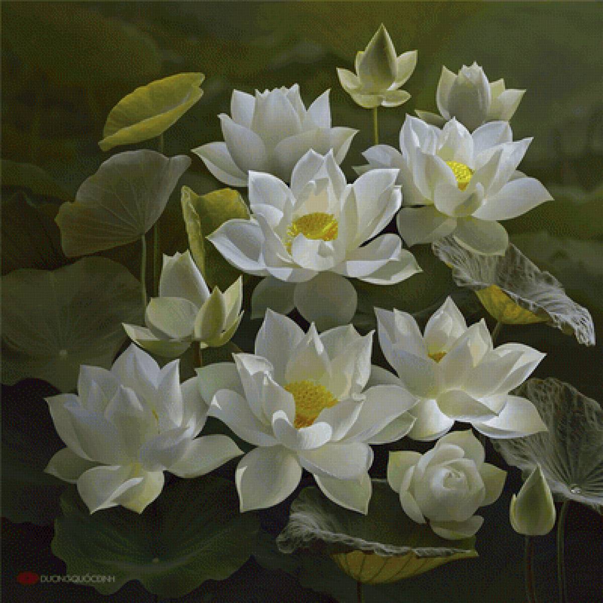 лотос - цветы, лотос - предпросмотр