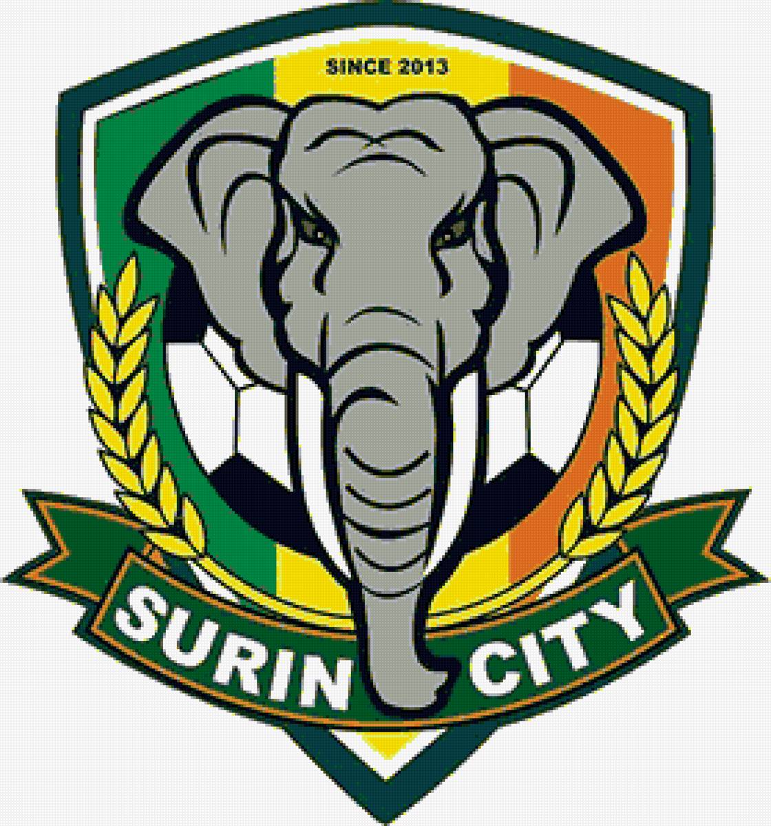 сурин  сити - футбол азия эмблема - предпросмотр