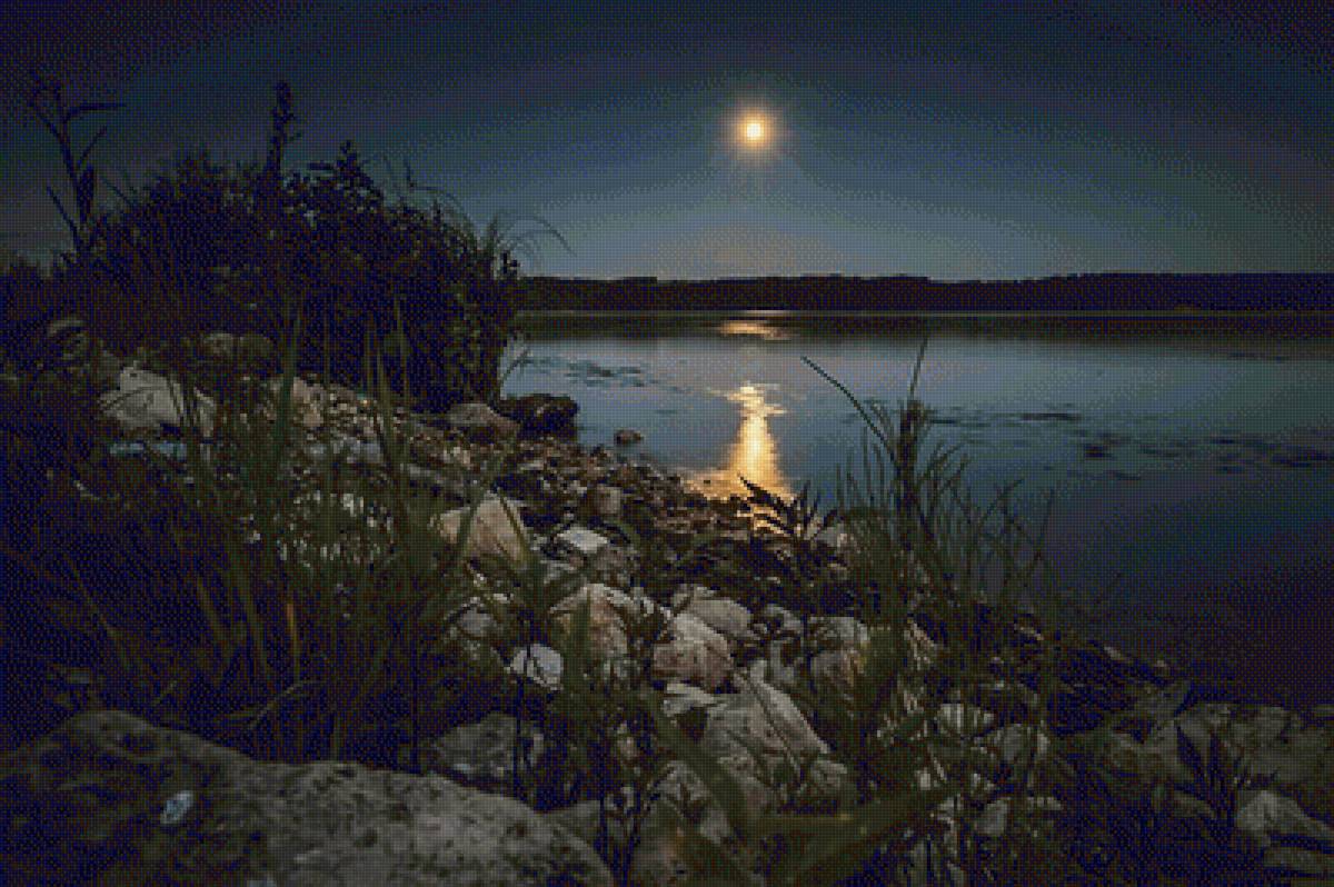 Ночь у береша. Река ночью. Ночное озеро. Берег реки ночью. Лунная ночь.