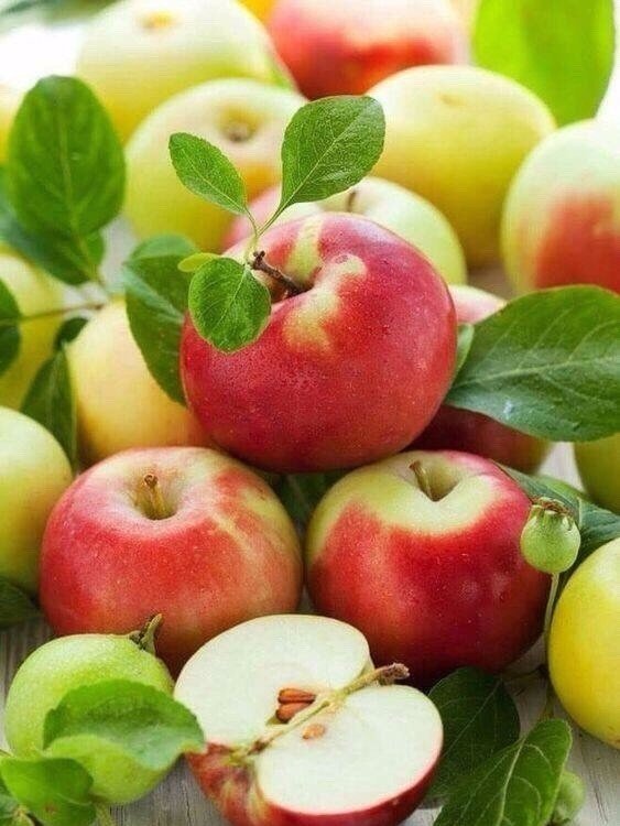 Яблочки - фрукты, яблоки - оригинал