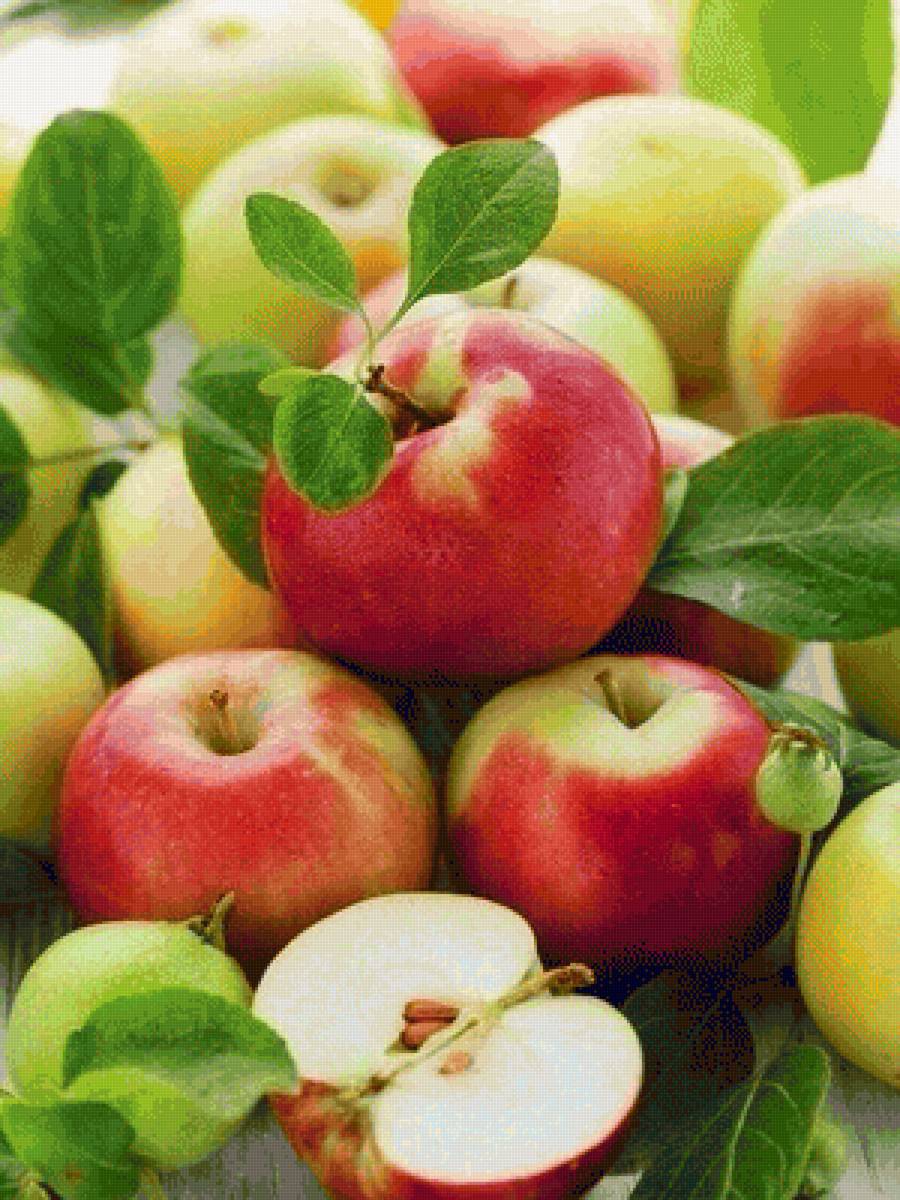 Яблочки - яблоки, фрукты - предпросмотр