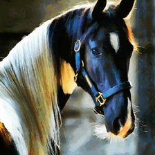 Схема вышивки «лошадь»