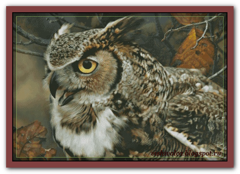 Сова - птицы, сова - оригинал