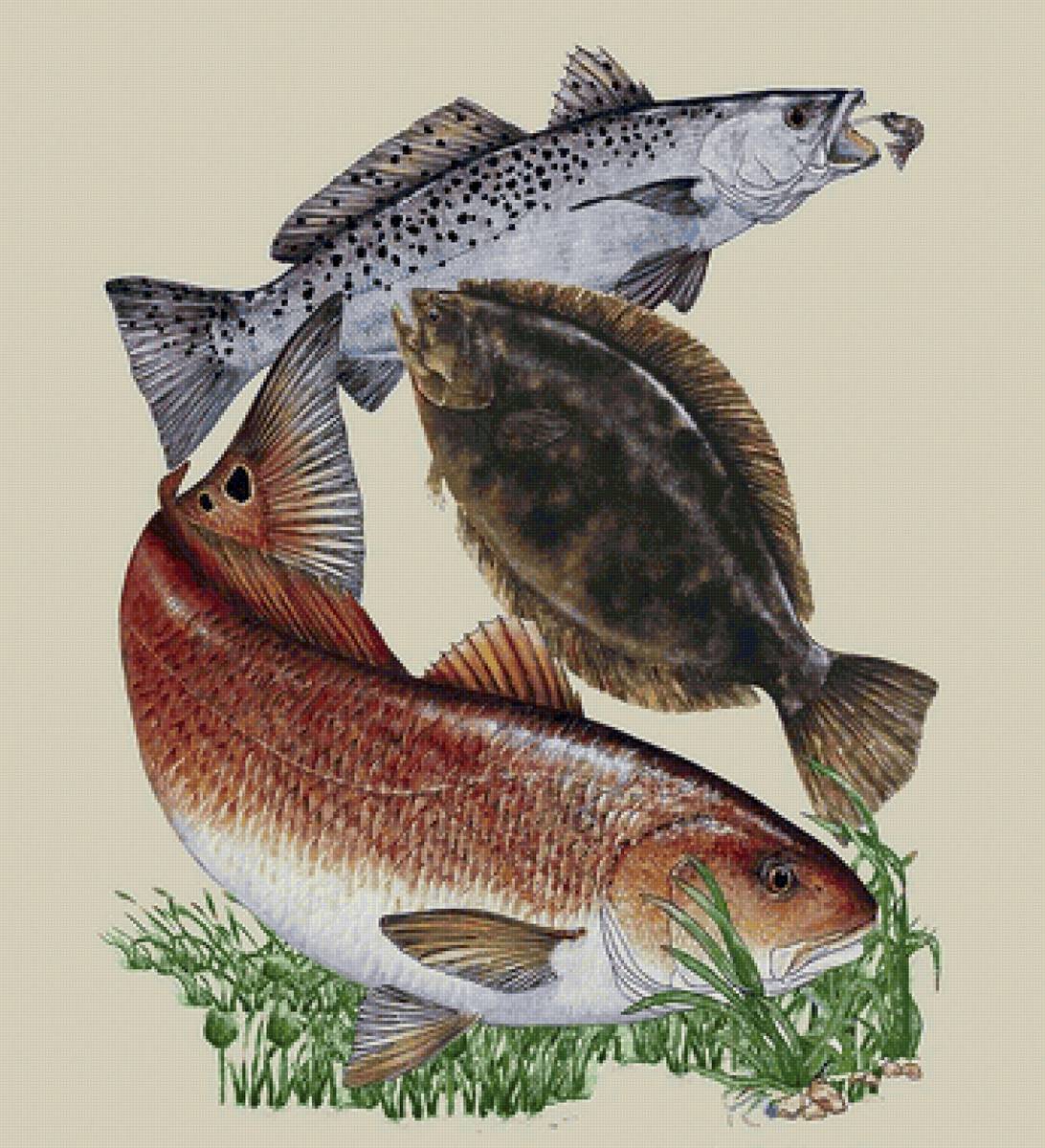 Peixes. - peixes - предпросмотр