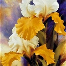 Оригинал схемы вышивки «Irises Double color» (№2297108)