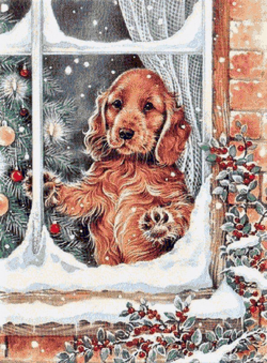 Waiting in Christmas time - животные - предпросмотр