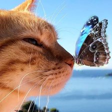 Схема вышивки «Katze»