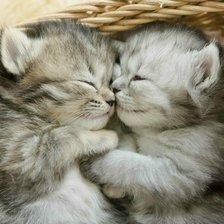 Схема вышивки «котята»