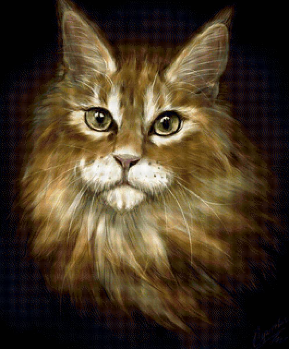 кот - животные, портрет, кот - предпросмотр