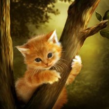 Схема вышивки «кот»