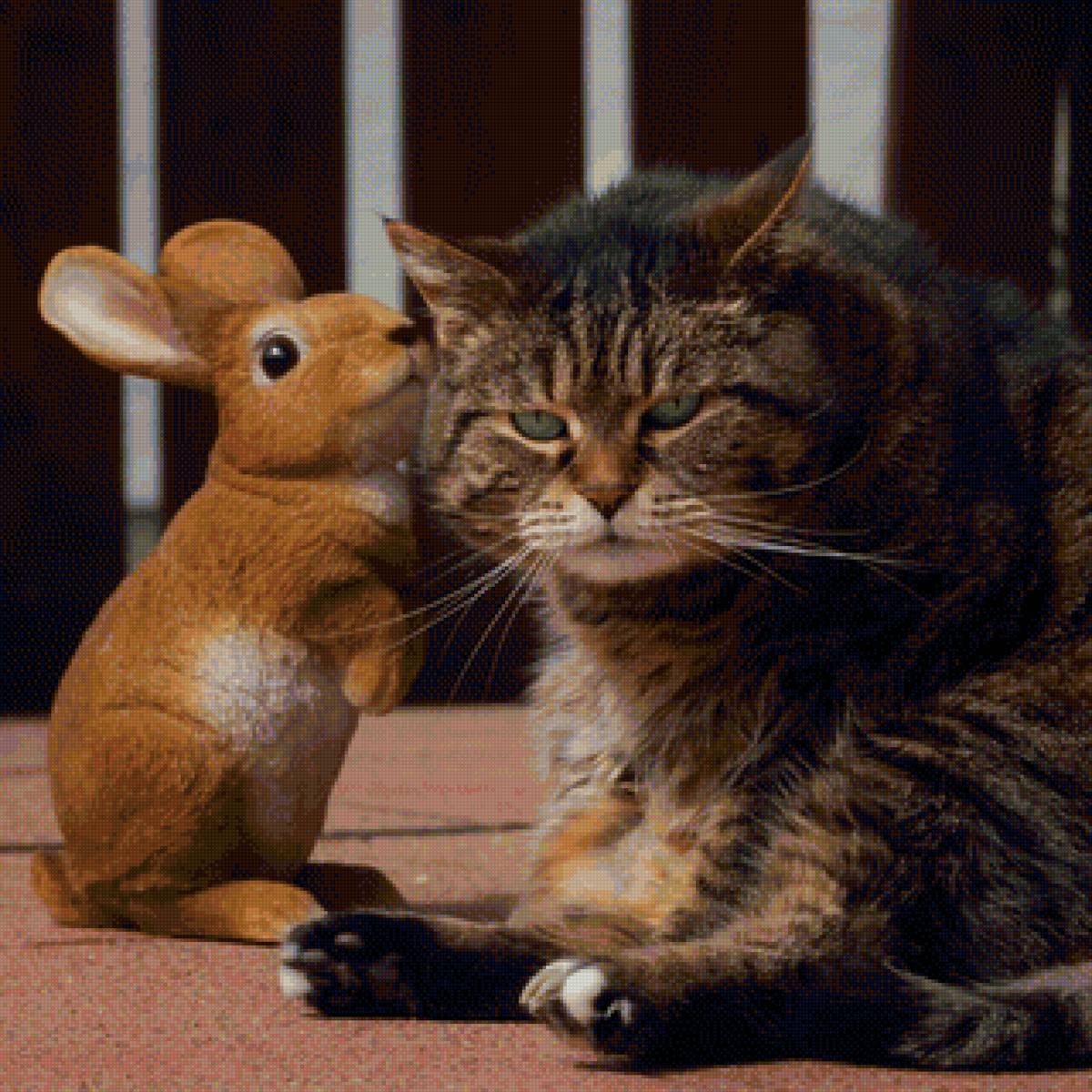 друзья - кот, портрет, животные - предпросмотр