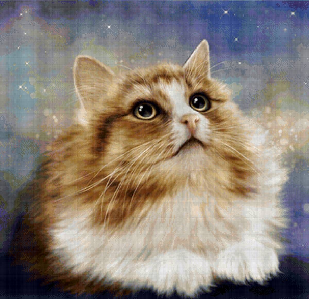 кот - портрет, животные, кот - предпросмотр