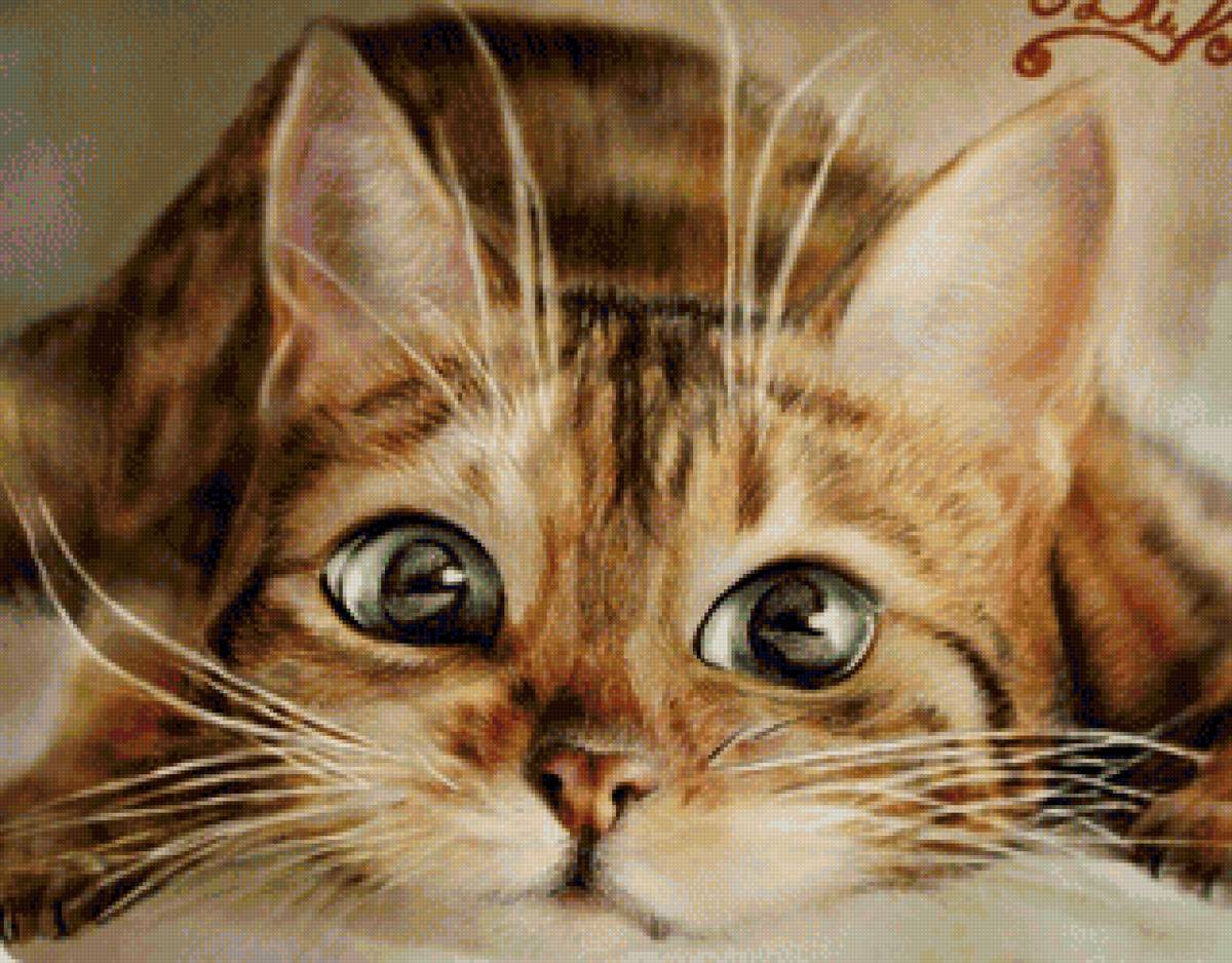 кот - портрет, животные, кот - предпросмотр