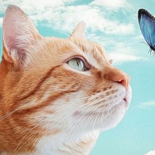 Схема вышивки «кот»