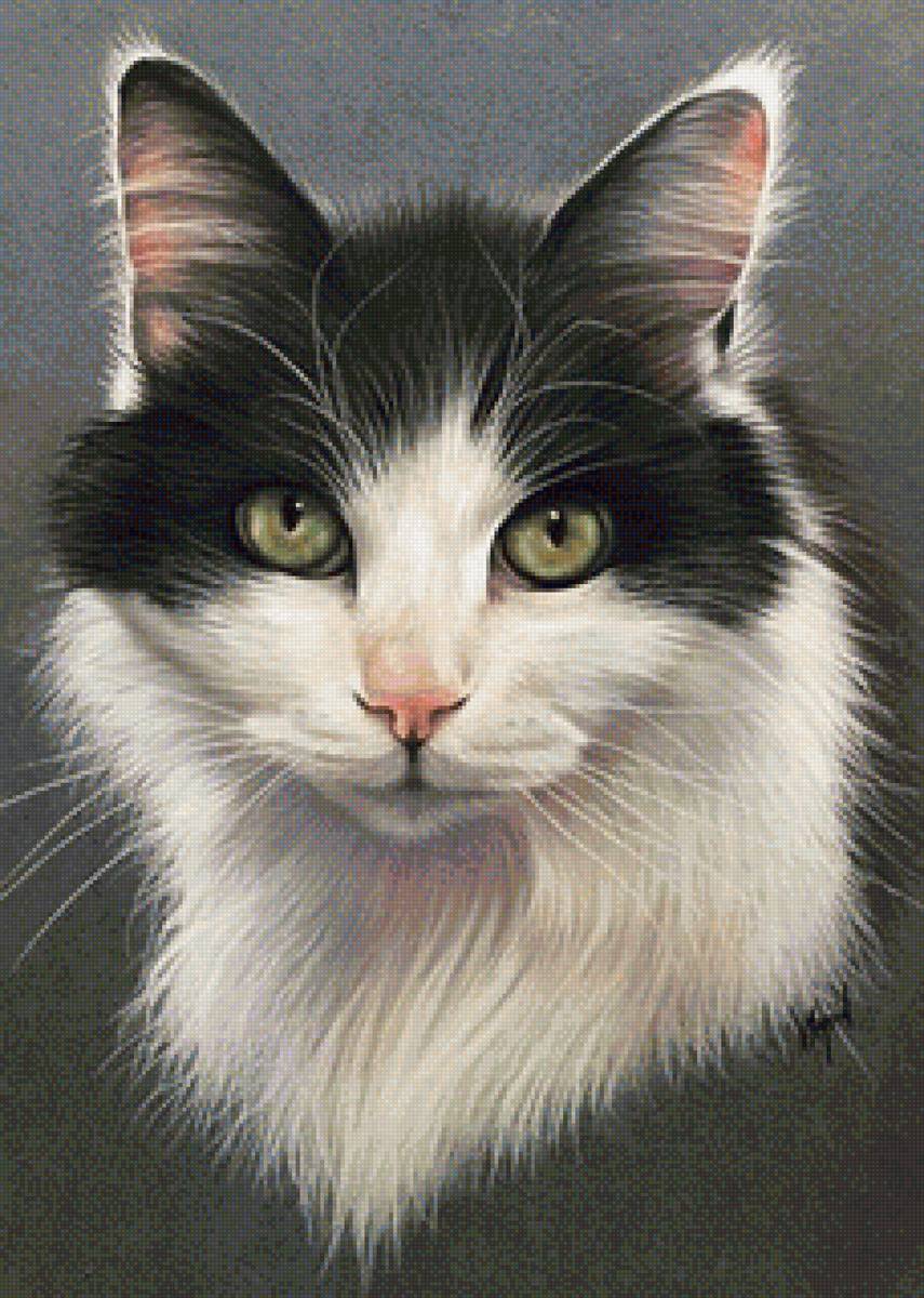 кот - кот, животные, портрет - предпросмотр