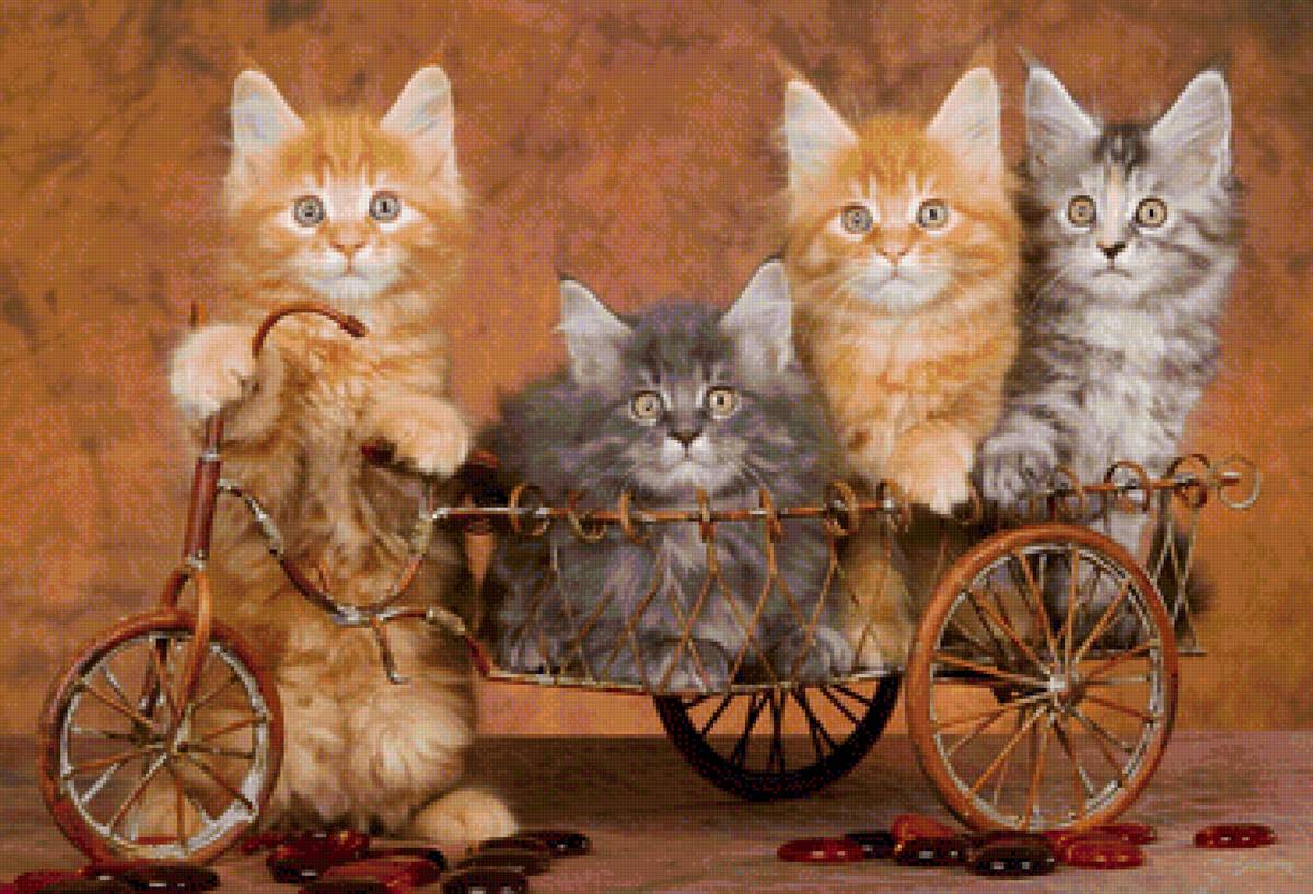 на прогулку - портрет, кот, животные - предпросмотр