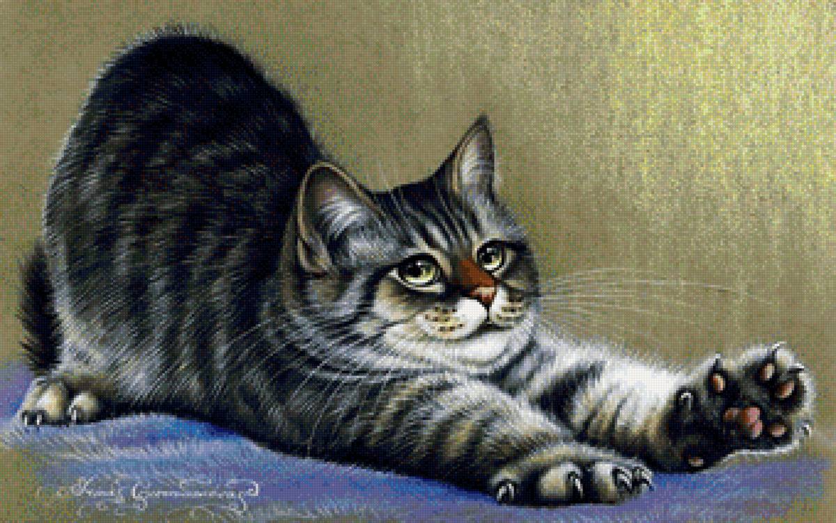 кот - кот, животные, портрет - предпросмотр