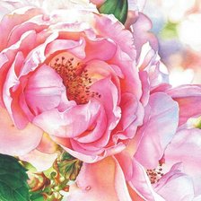 Схема вышивки «Цветы»