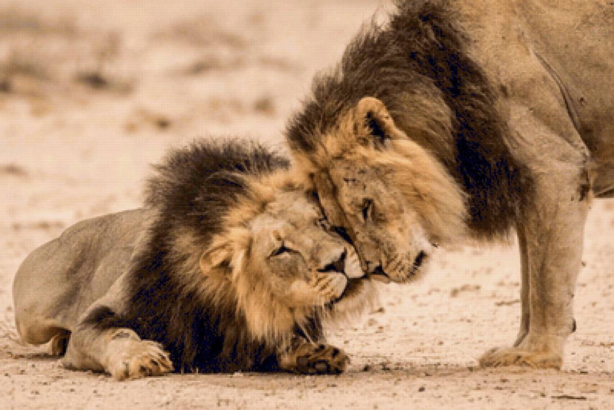 №2298385 - предпросмотр