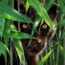 Схема вышивки «в засаде»