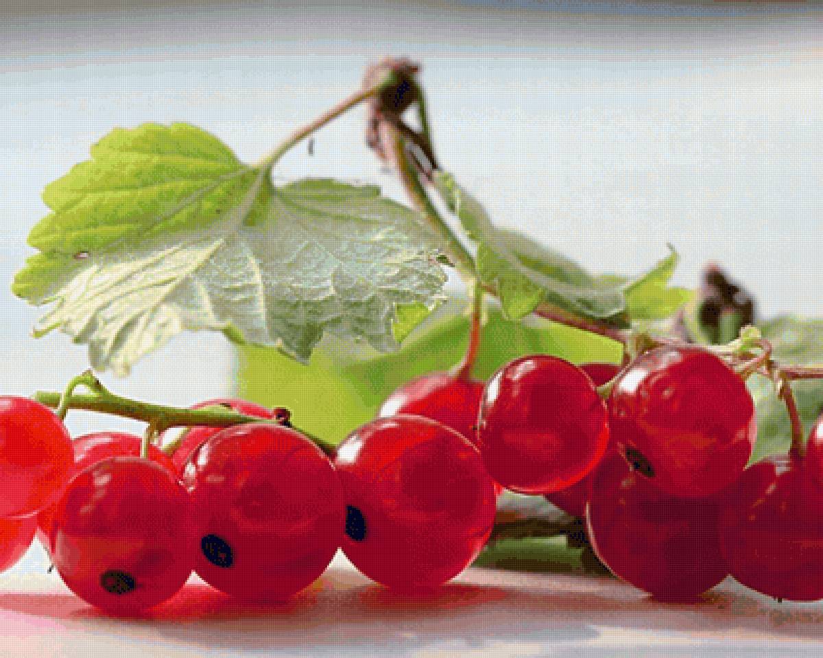 Смородина - ягоды, смородина - предпросмотр