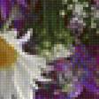 Предпросмотр схемы вышивки «Полевые цветы» (№2298526)