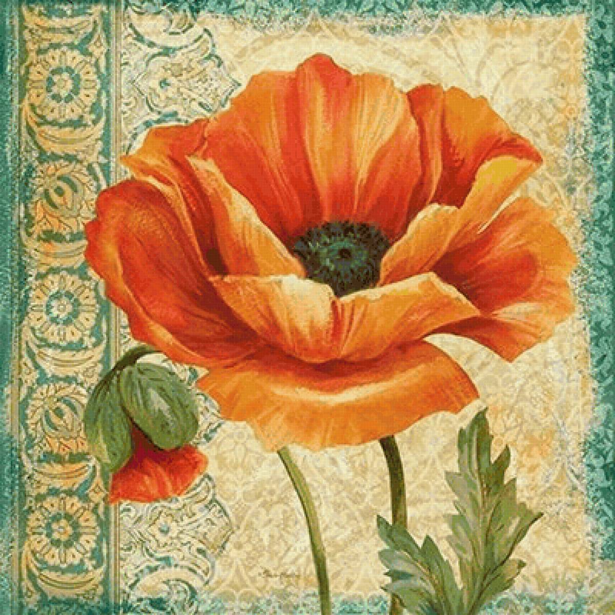 Маки - предпросмотр