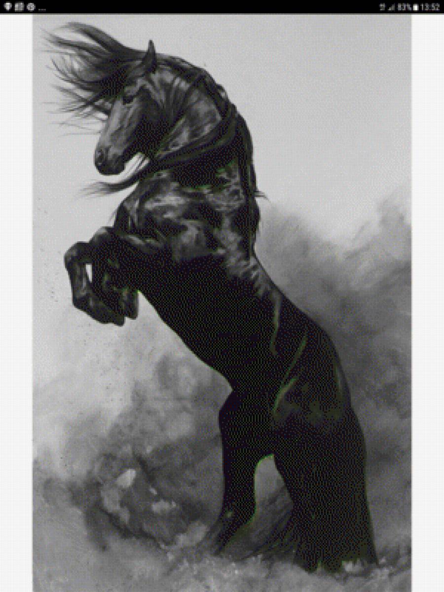 Черный конь - лошадь, конь - предпросмотр