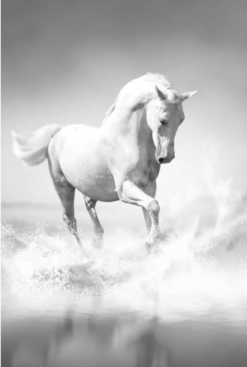 Белый конь - лошадь, конь - оригинал