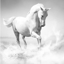 Оригинал схемы вышивки «Белый конь» (№2298820)