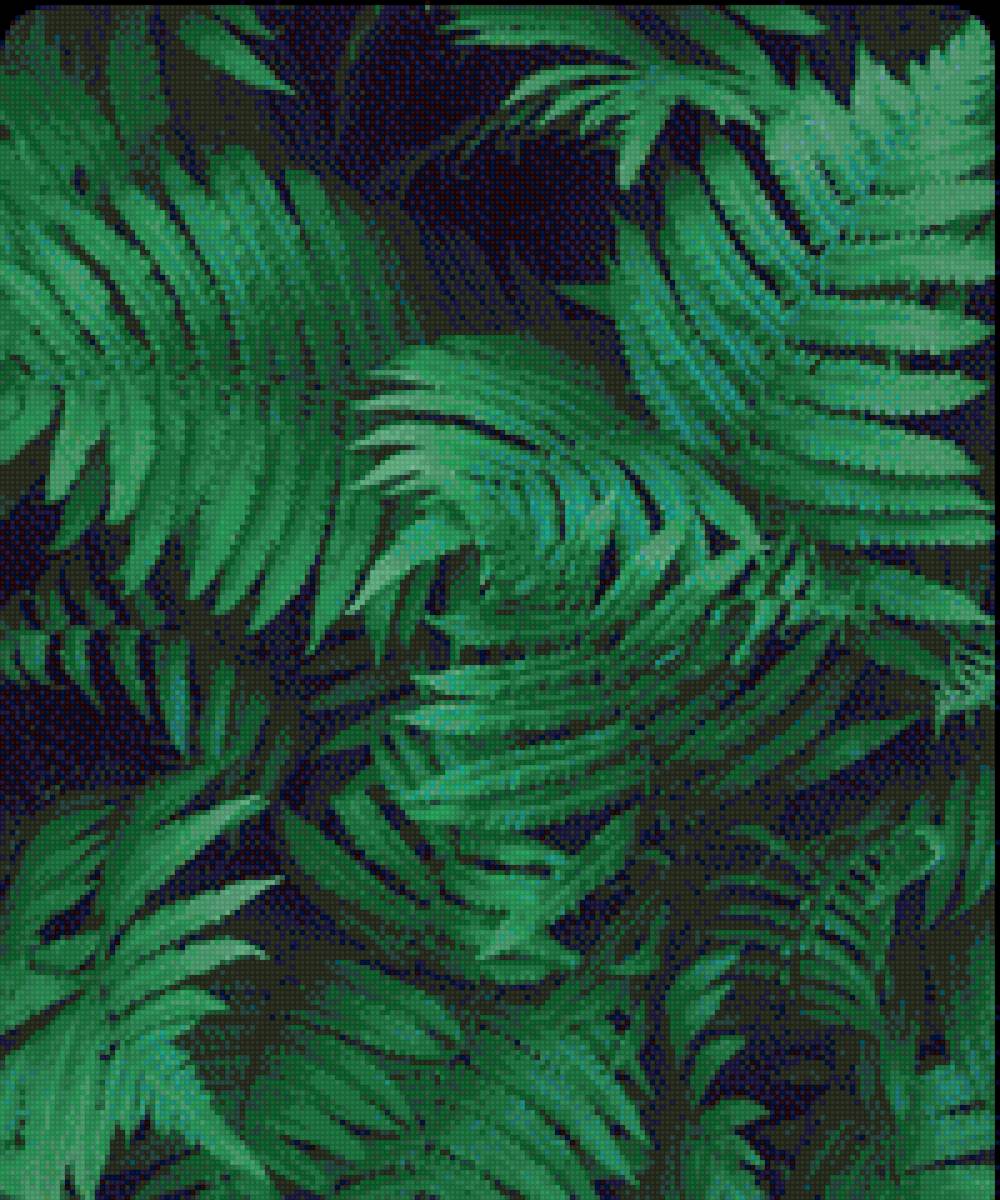 Папоротник - листья, зелень - предпросмотр