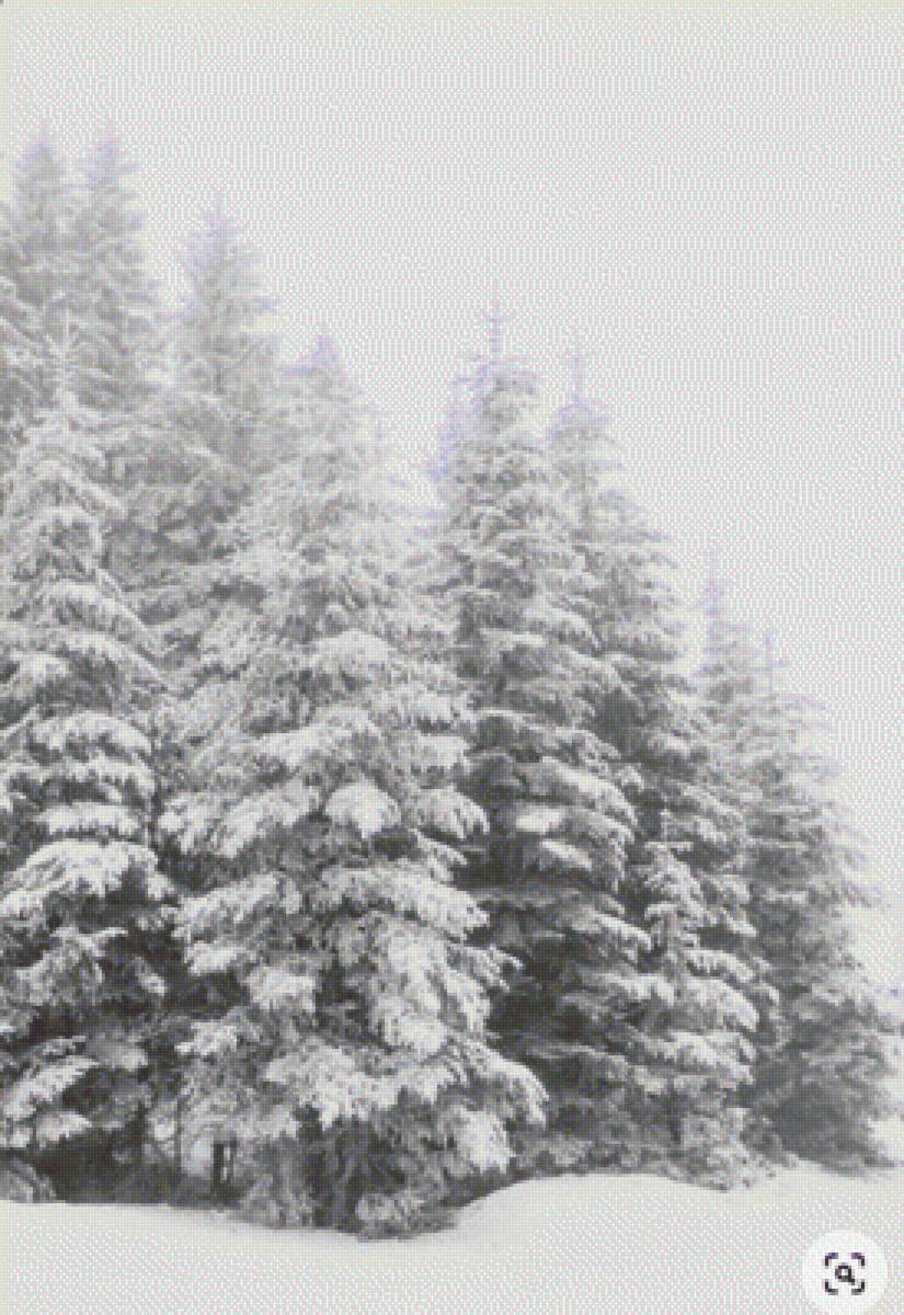 Зимний лес - ели, зима, природа, пейзаж - предпросмотр