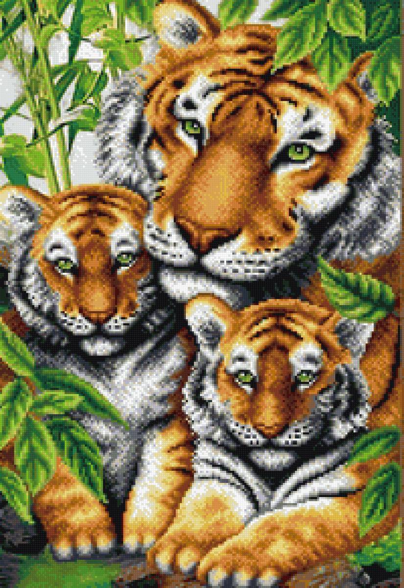 Семья тигров - denecs - предпросмотр