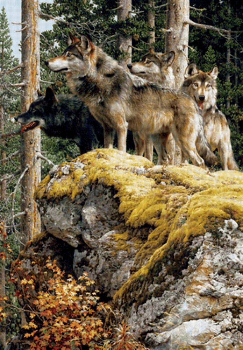 В дозоре - предпросмотр